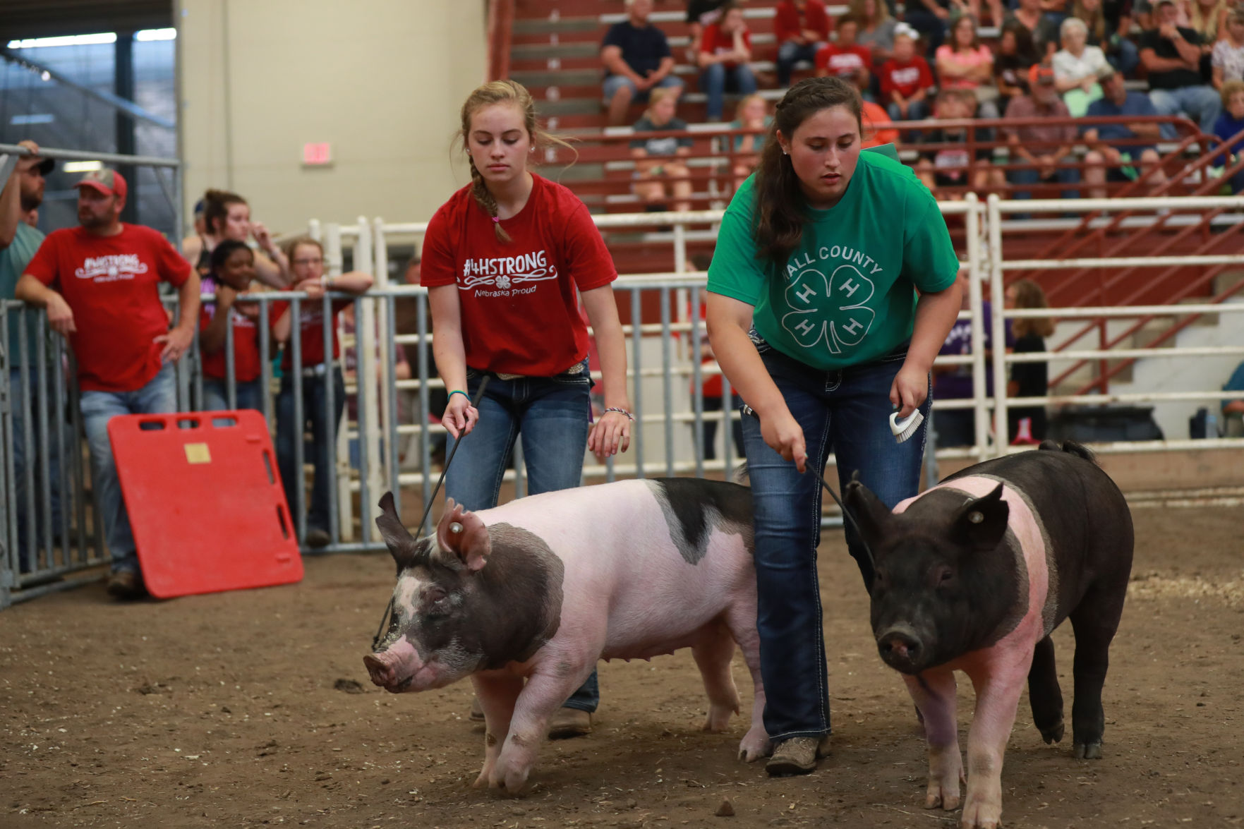 071119_HallCoFair41_bjs.JPG